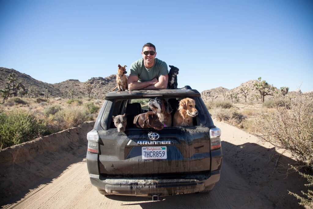 Five facts about a famous American animal rescuer.