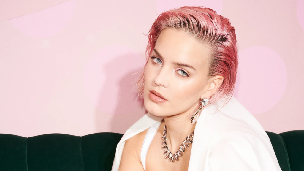 Anne Marie Career Life