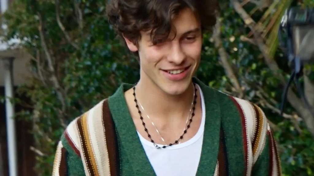 Shawn Mendes Social Media