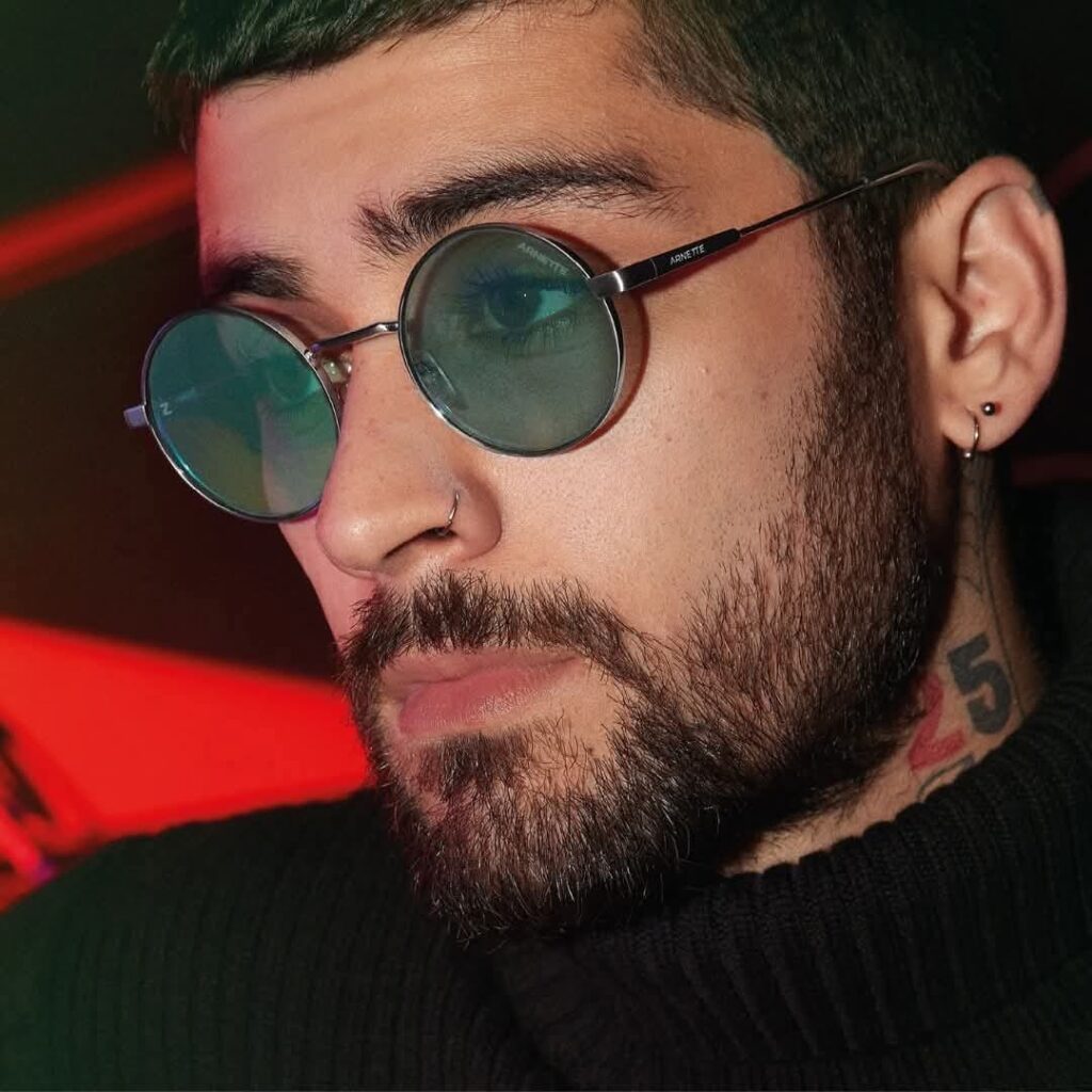 Zayn Malik Career