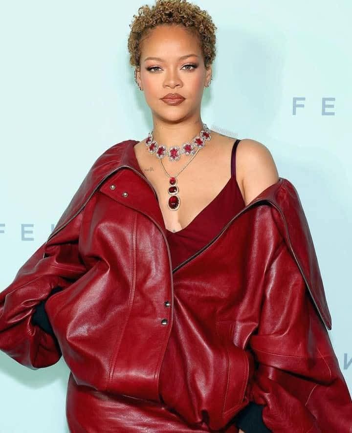 Rihanna Career/Professional Journey