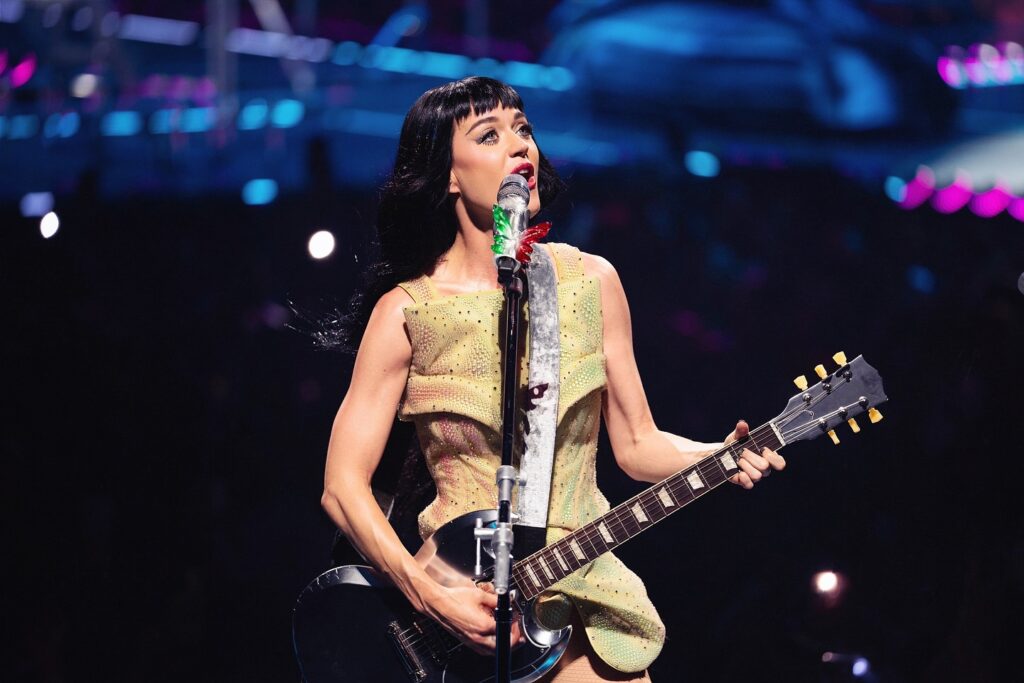Katy Perry Career/Professional Journey