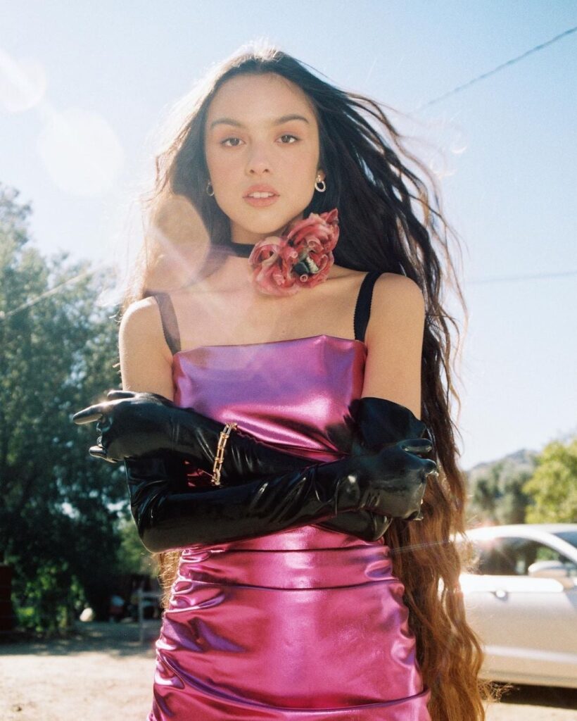 Olivia Rodrigo's sources of income