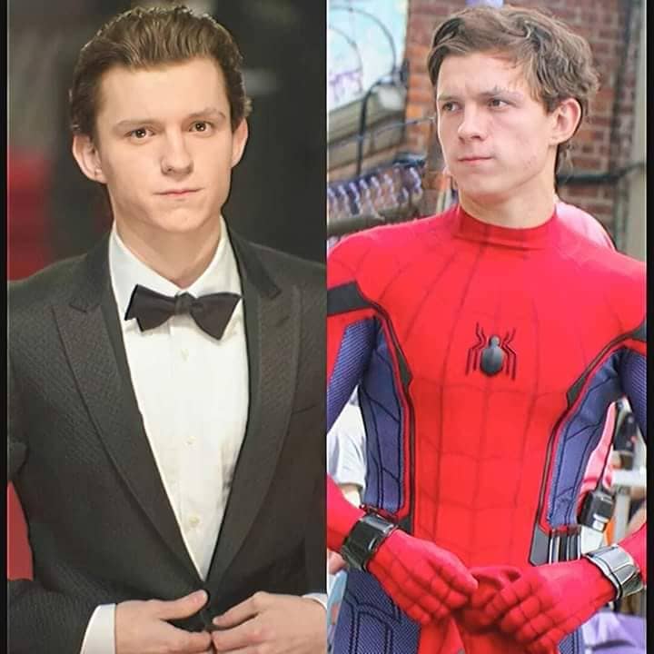 Tom Holland Career