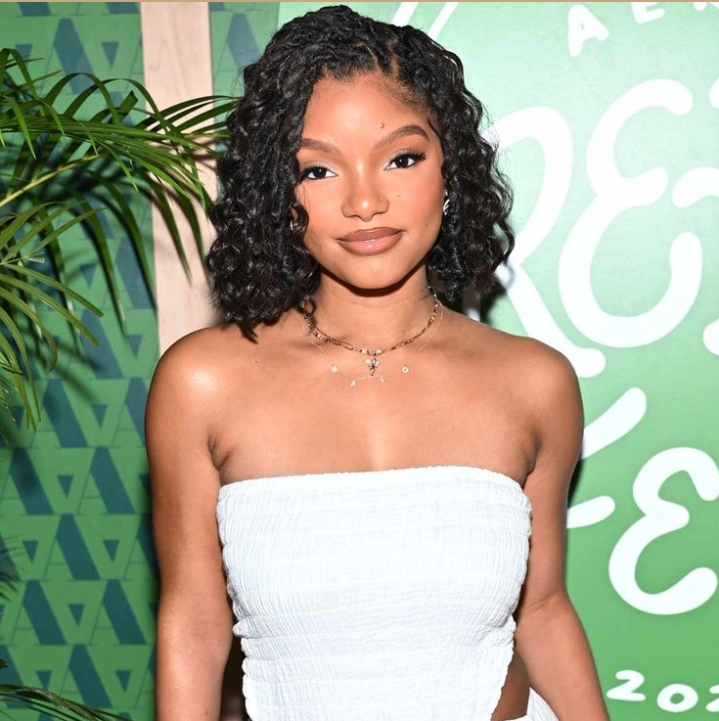 Halle Bailey Middle Part Bun