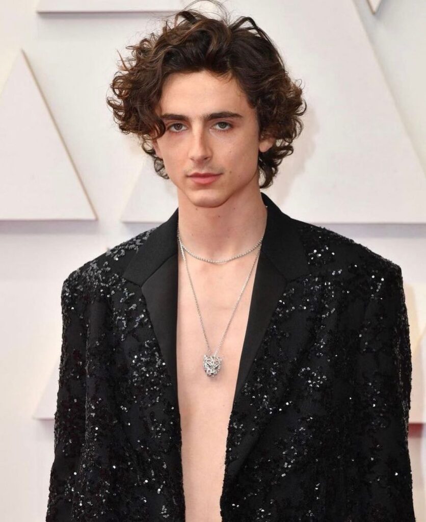 Timothée Chalamet Wikipedia/Bio