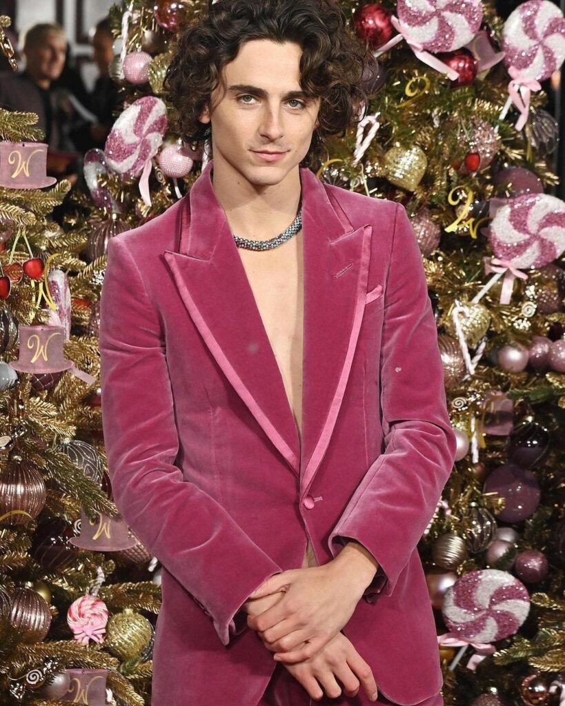 Timothée Chalamet Net Worth