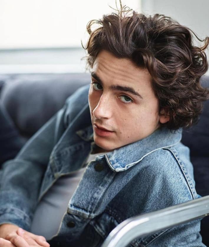 Timothée Chalamet Career