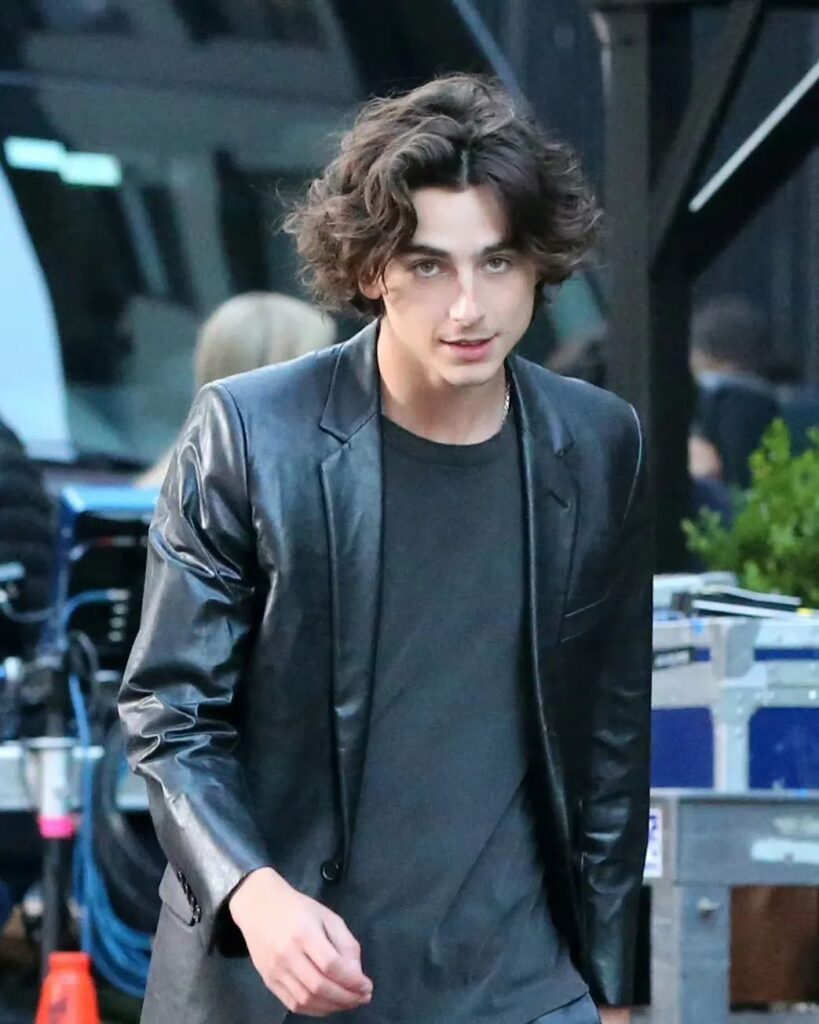 Timothée Chalamet Height & Weight
