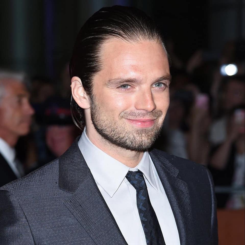 Sebastian Stan Net Worth