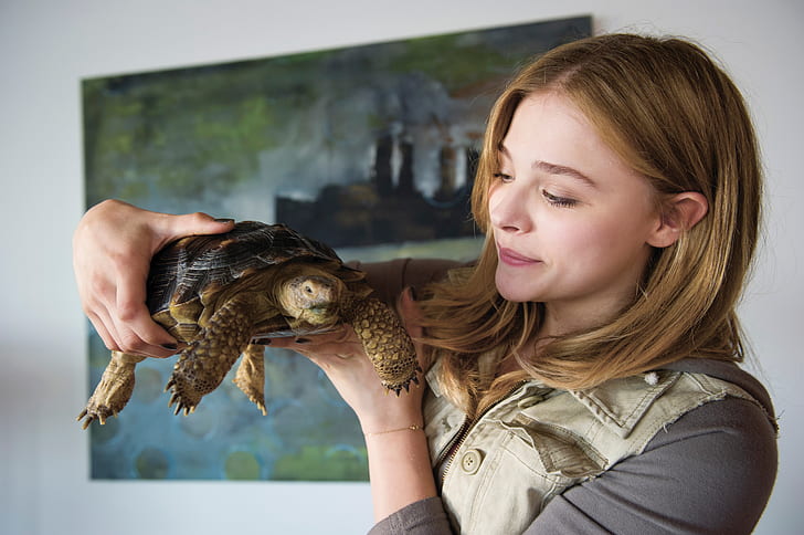 Chloë Grace Moretz 10 Movies ranked and TV shows 'Laggies' (2014)