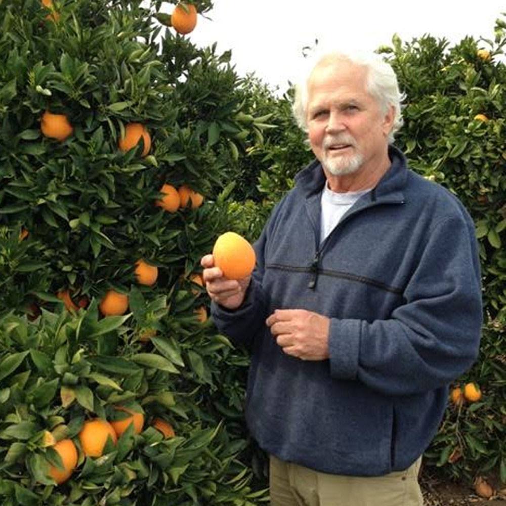Tony Dow Height & Weight