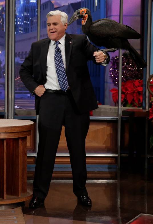 From Stand-Up Comedy to Television Fame