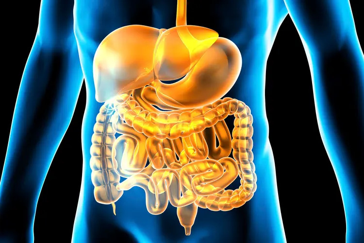 Common Midwest Digestive Health and Nutrition Issues
