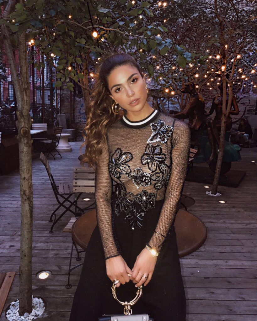 Negin Mirsalehi Career/Professional Journey