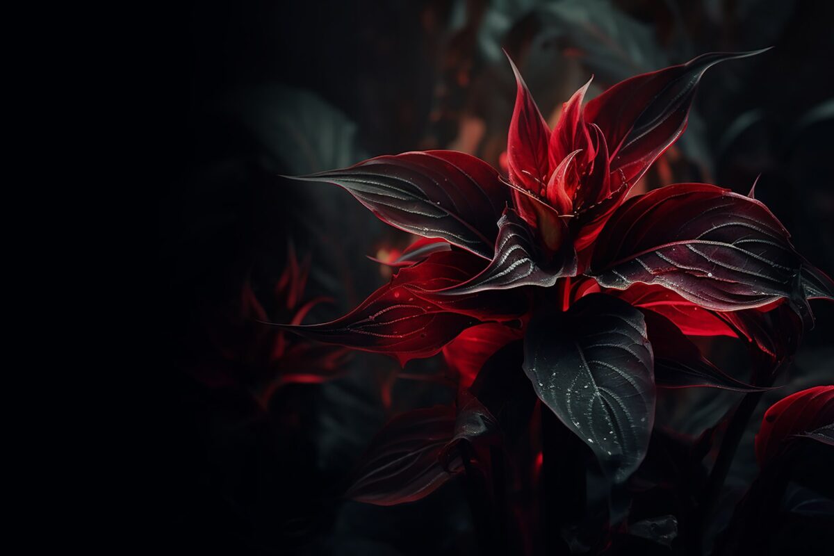 Twilight Solitude Embracing the Calm Sea https://www.biographygen.com/wp-content/uploads/2025/10/blog_skin_zinest_02-1200x800-1.jpg