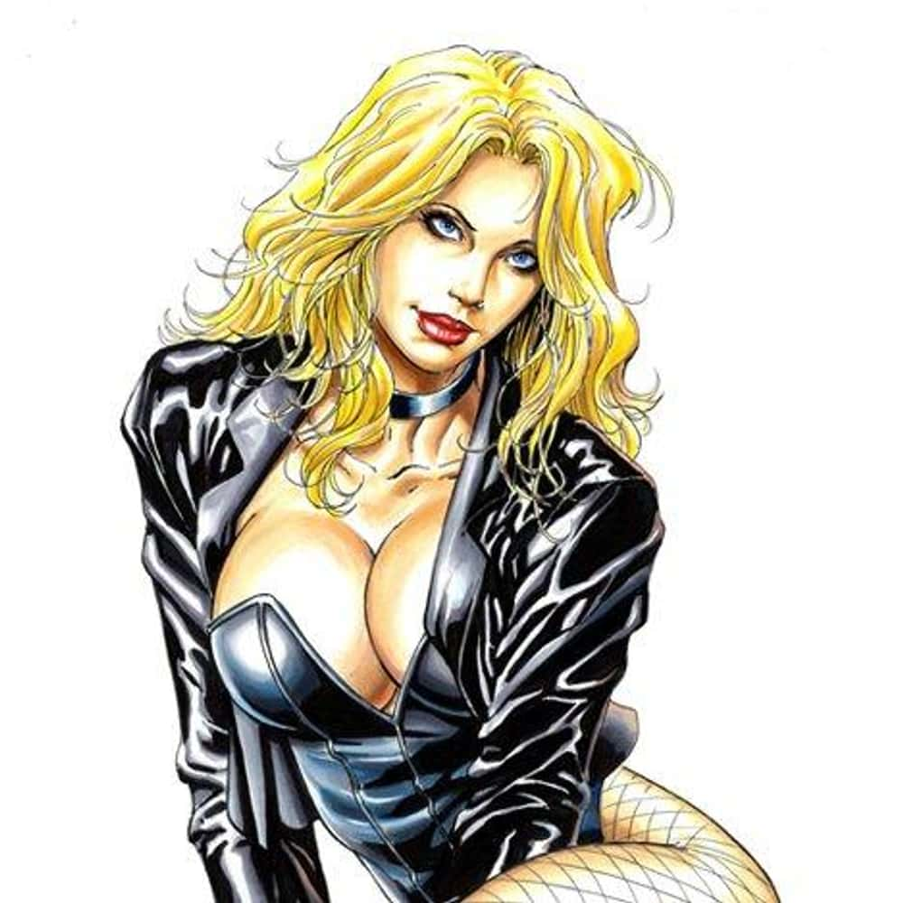 The Hottest Cartoon Females Characters of All Time Black Canary (Dinah Lance)