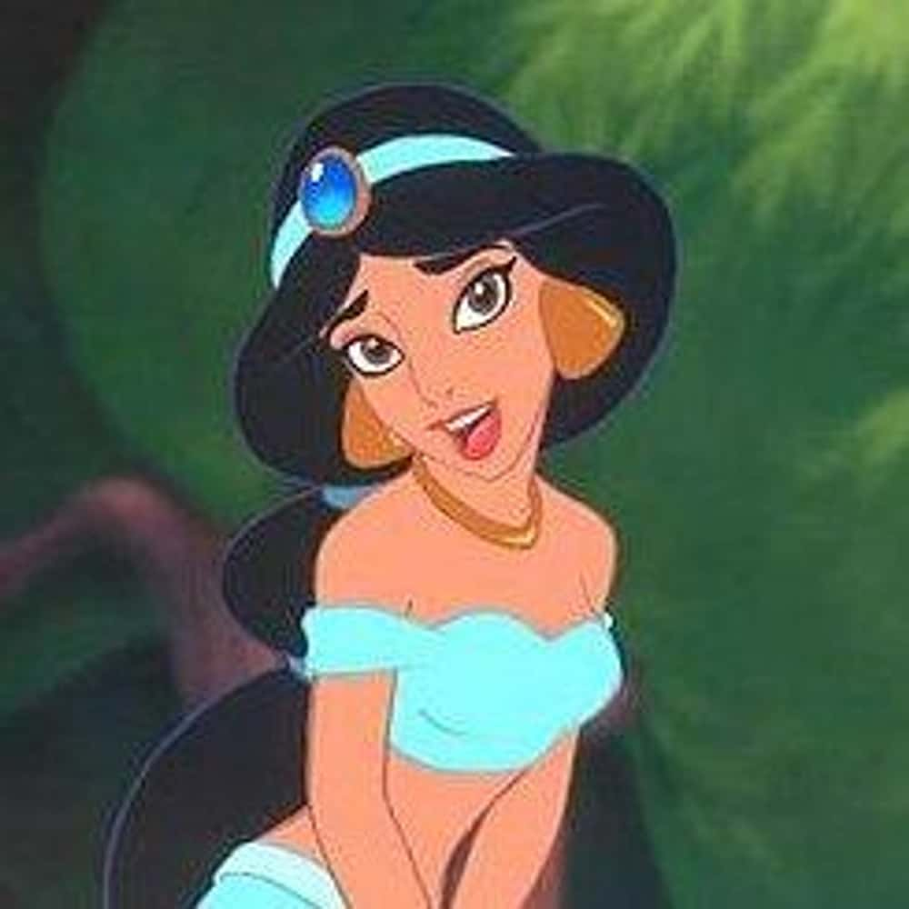 The Hottest Cartoon Females Characters of All Time Princess Jasmine