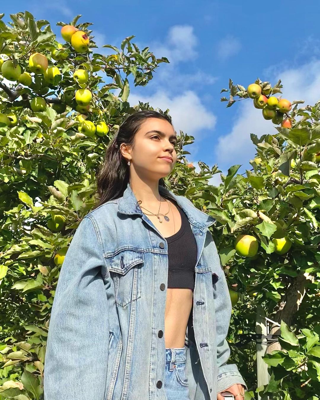 Khaibellamy Net Worth, Wiki, Height, Age, Family, Boyfriend and Career Khaibellamy