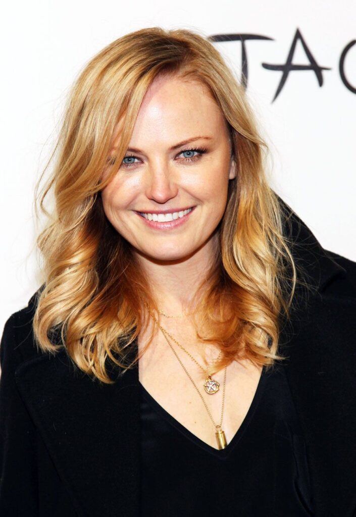 Top 10 Most Beautiful Swedish Actresses of All Time