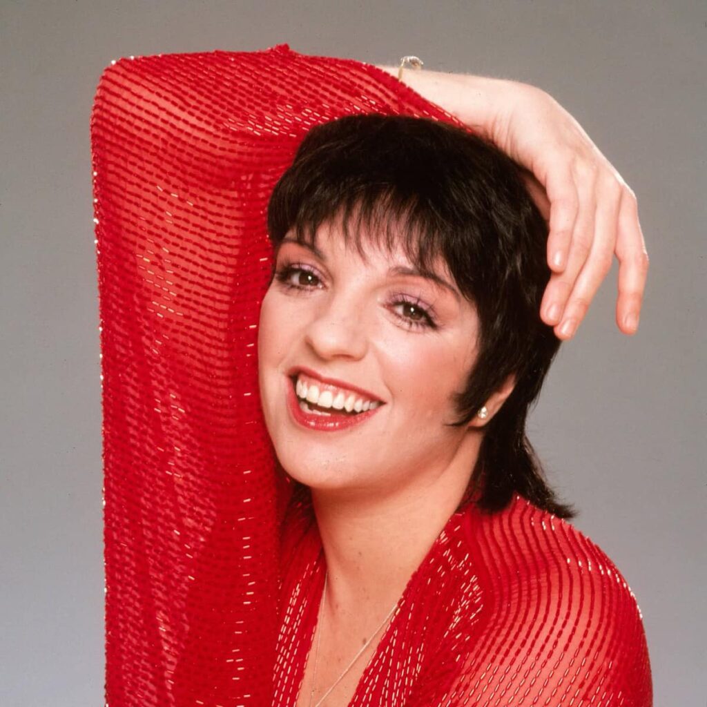 Liza Minnelli Net Worth, Wiki, Age, Height, Parents, Boyfriend and Career Liza Minnelli has experienced several marriages, each one holding its own distinct narrative.