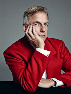 Mark Harmon Net Worth, Wife, Wiki, Age, Height, Parents, Movies and Career Mark Harmon Net Worth $120 Million