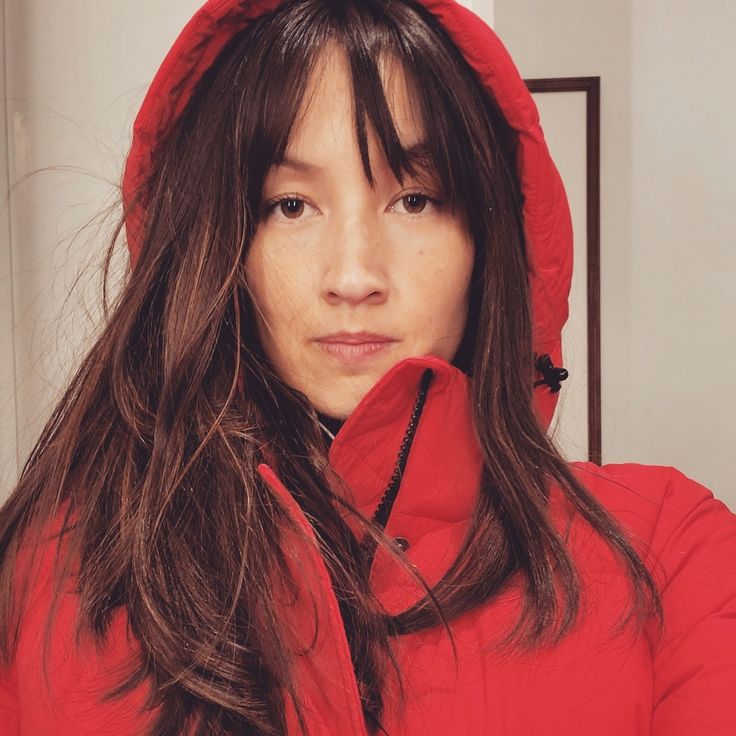 Joss Fong Net Worth, Husband, Wiki, Age, Height, Parents, Journalist and Career Joss Fong has constructed a profitable profession as a journalist, video producer, and senior editorial producer at Vox, the place she specializes in explanatory journalism.