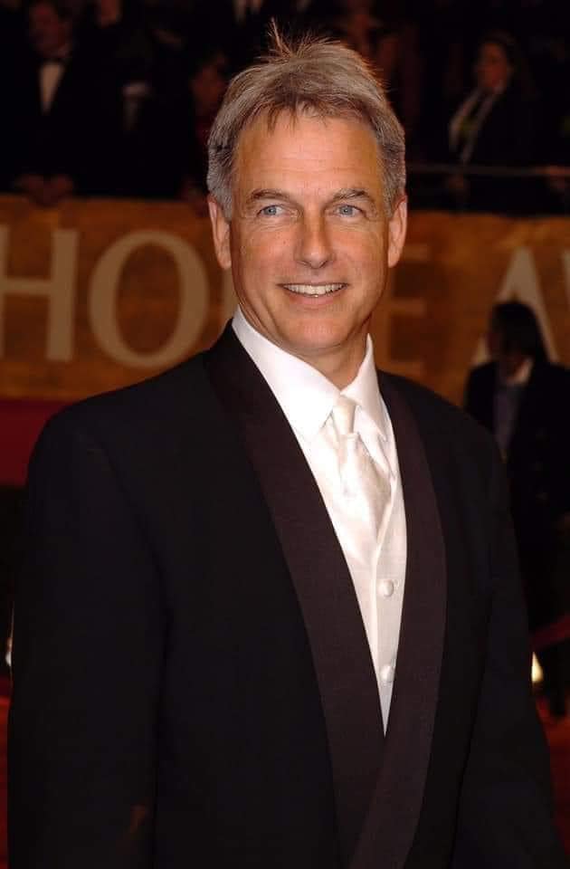 Mark Harmon Net Worth, Wife, Wiki, Age, Height, Parents, Movies and Career Harmon’s profession won great traction in the 1980s. He starred in the prime-time cleaning soap opera Flamingo Road from 1981 to 1982.