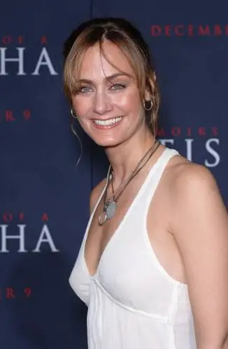 Diane Farr Net Worth, Husband, Wiki, Age, Height, Parents, Movies and Career Diane Farr Net Worth $2 Million