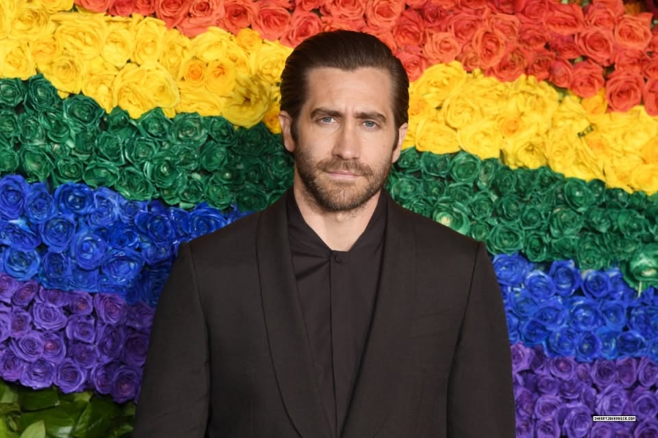 Jake Gyllenhaal Net Worth, Wife, Wiki, Age, Height, Parents, Movies and Career Jake Gyllenhaal started out performing as a child, making his debut in City Slickers (1991), accompanied via roles in his father’s films, consisting of A Dangerous Woman (1993) and Homegrown (1998).