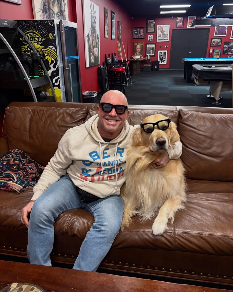 Joe Rogan Net Worth, Wife, Wiki, Age, Height, Parents, Comedian and Career Joe Rogan ride into the enjoyment world commenced with a comedy career.