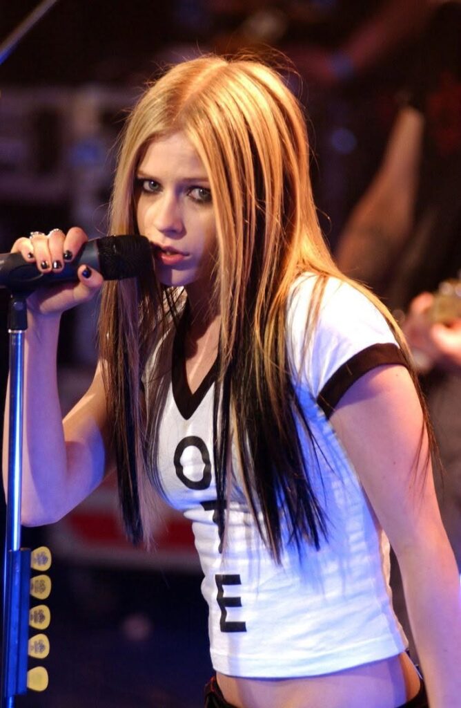Avril Lavigne Hollywood profession started with her voice position in the animated movie Over the Hedge (2006). She later seemed in films such as Fast Food Nation (2006) and The Flock (2007). 